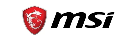 MSI computer assessment